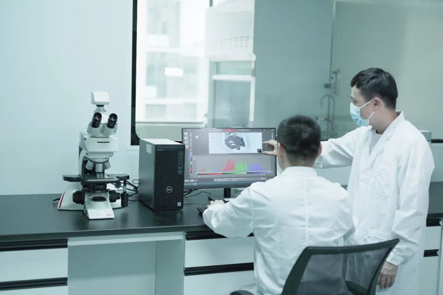 365Ӣ������(����)���޹�˾-Official website