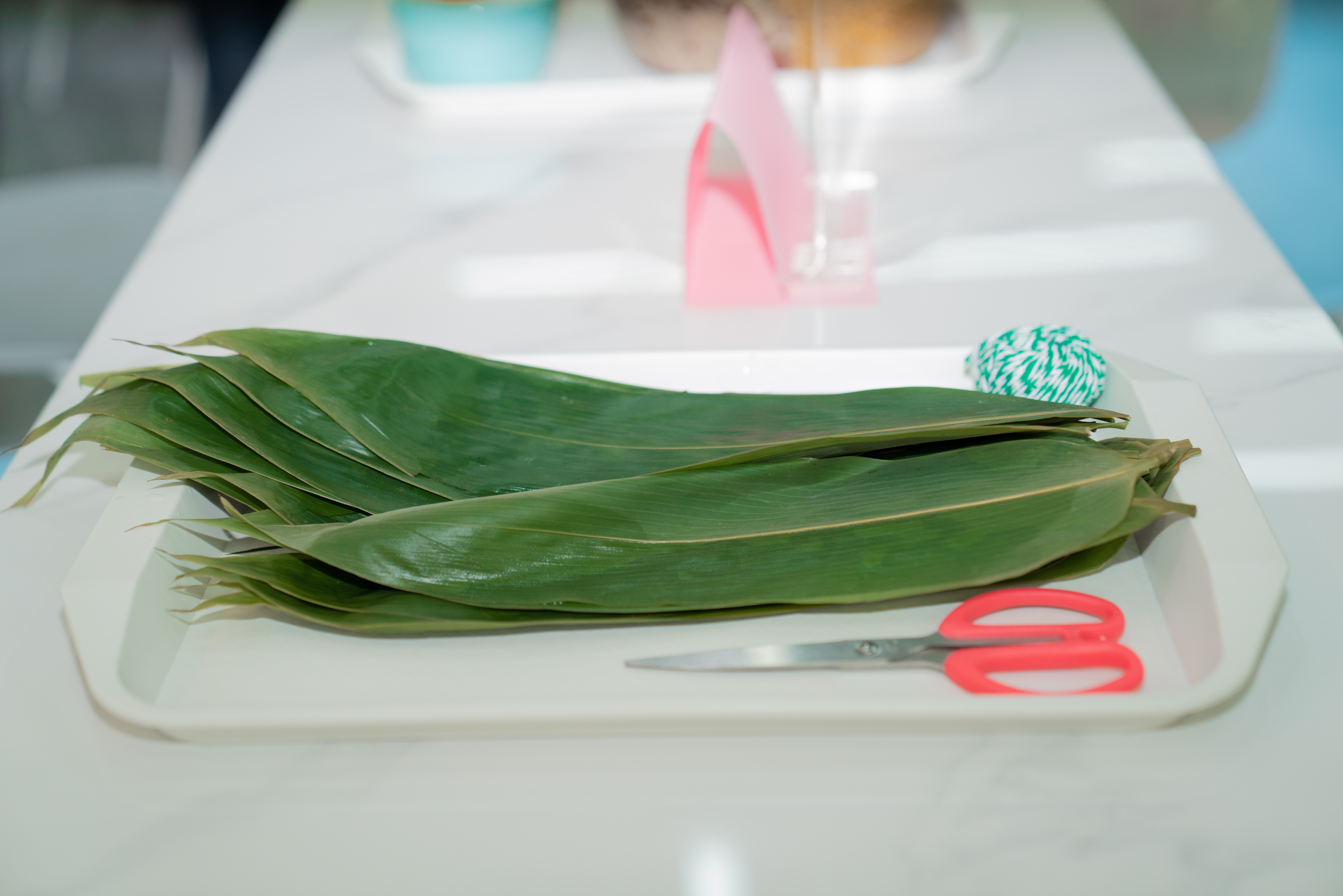 365Ӣ������(����)���޹�˾-Official website